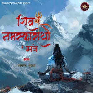 Album Shiv Namaskaratha Mantra from 