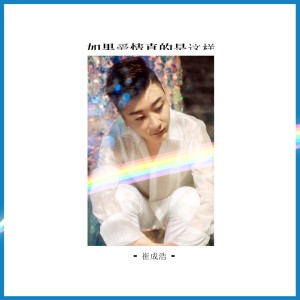 Album 如果爱情真的是这样 oleh 崔成浩