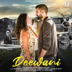 Listen to Deewani song with lyrics from Shahzad Ali