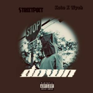Down (feat. Kato On The Track & Wyshmaster) (Explicit)