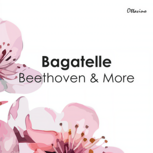 ดาวน์โหลดและฟังเพลง Busch: Variations On A Theme By Schubert For Two Pianos, Op. 2: 10. Variation: Allegretto Grazioso พร้อมเนื้อเพลงจาก Zsuzsanna Kollár