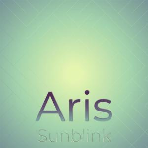 Various Artists的專輯Aris Sunblink