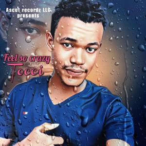 ดาวน์โหลดและฟังเพลง FEEL SO CRAZY พร้อมเนื้อเพลงจาก Tocci