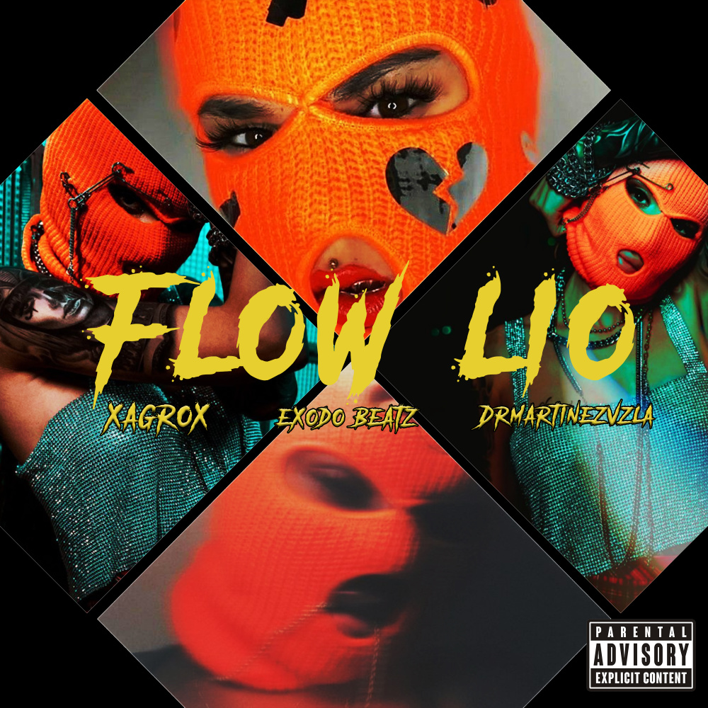 Flow Lio