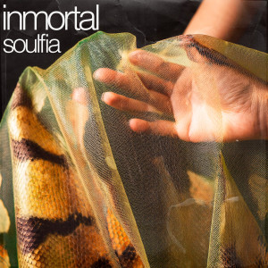 ดาวน์โหลดและฟังเพลง inmortal พร้อมเนื้อเพลงจาก Soulfia