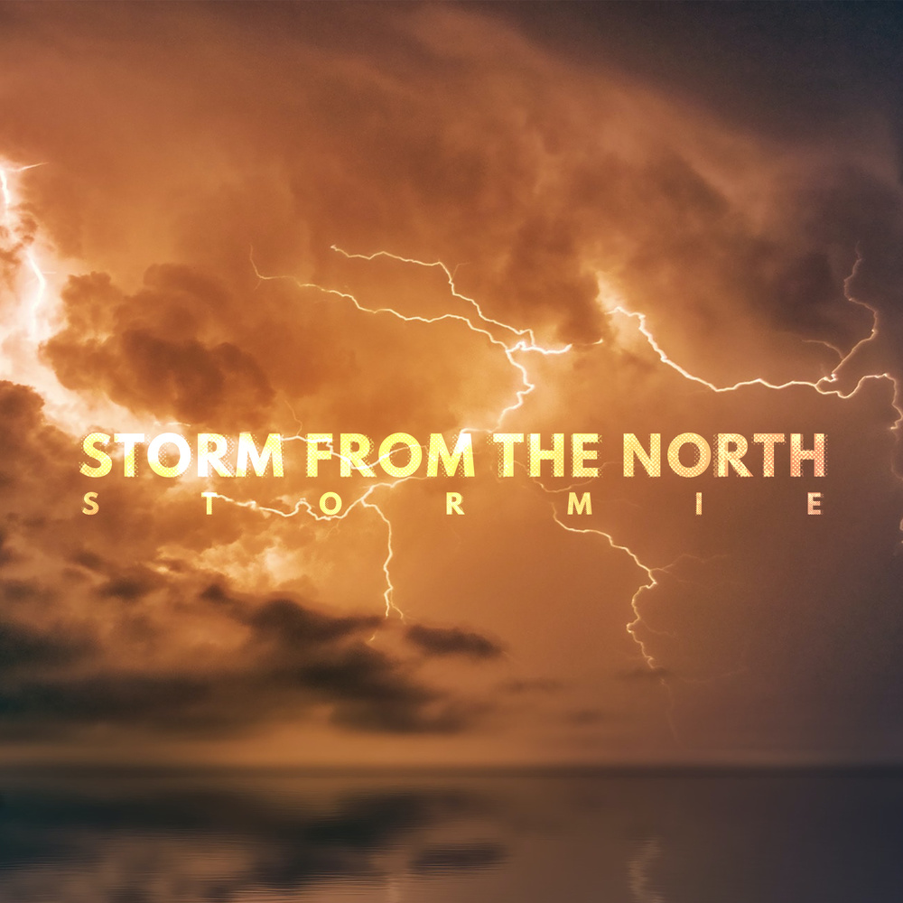 Surrender To The Storm