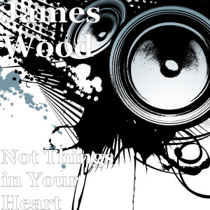 ดาวน์โหลดและฟังเพลง Not Things in Your Heart พร้อมเนื้อเพลงจาก James Wood