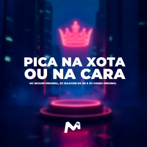 Album PICA NA XOTA OU NA CARA (Explicit) from DJ Gomes Original