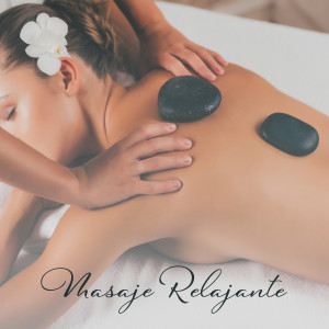 收聽Masaje Relajante Masters的Abre tu Alma歌詞歌曲