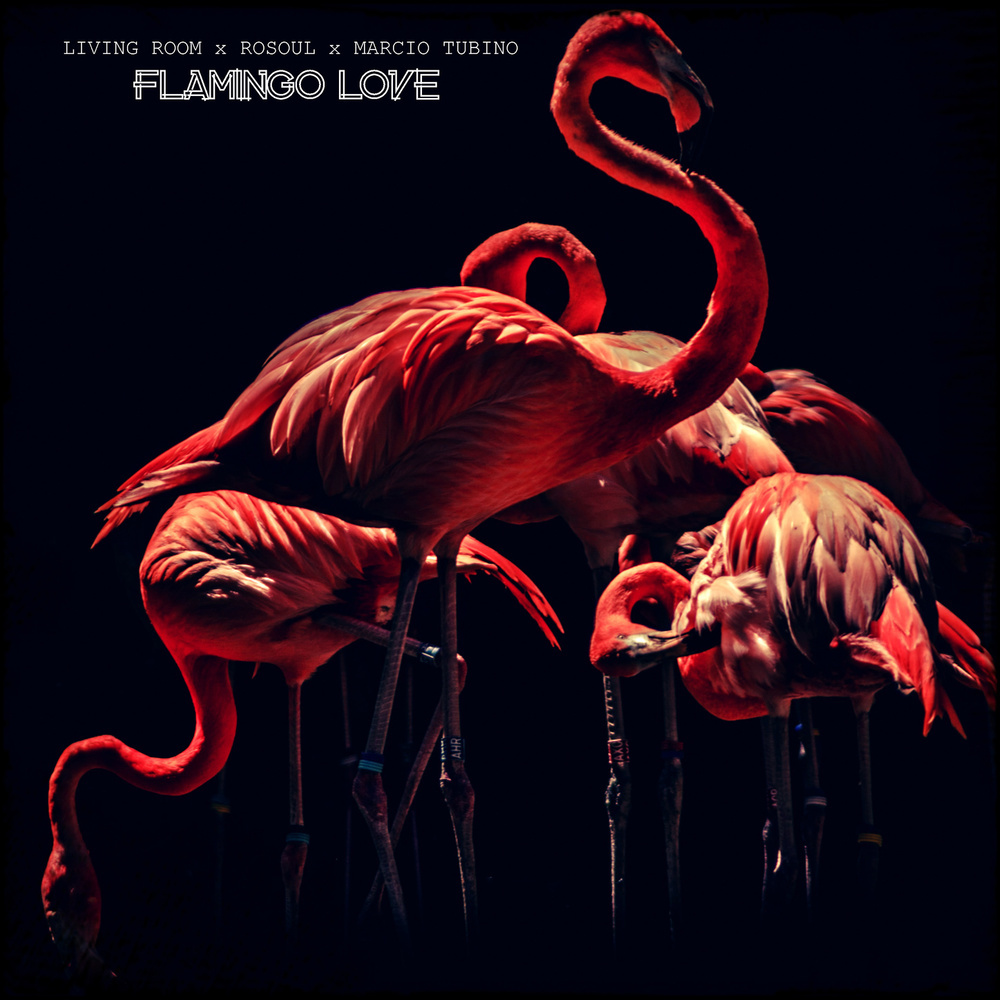 Flamingo Love