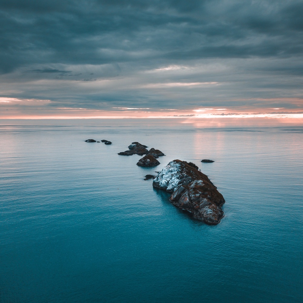Echoes of the Horizon