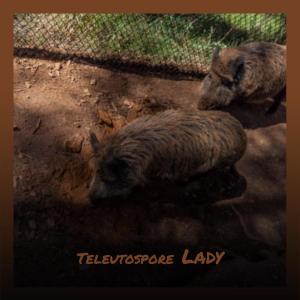 Listen to Teleutospore Lady song with lyrics from Wilo Cans
