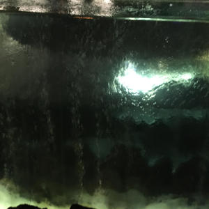 收聽Kohl的Crab Meat (feat. Aceii) (Explicit)歌詞歌曲