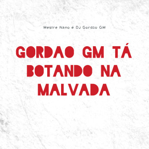 Listen to Gordão Gm Ta Botando na Malvada (Explicit) song with lyrics from Mestre nano
