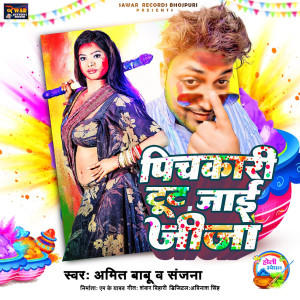 Album Pichkari Tut Jai Jija oleh Amit Babu