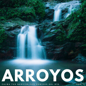 Album Arroyos: Calma Tus Nervios Con Sonidos Del Río Vol. 1 oleh Asmr