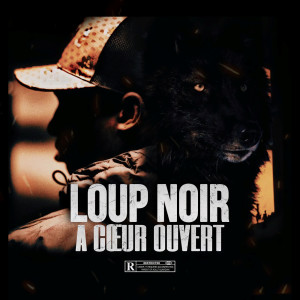 Listen to Evasion (Explicit) song with lyrics from Loup Noir