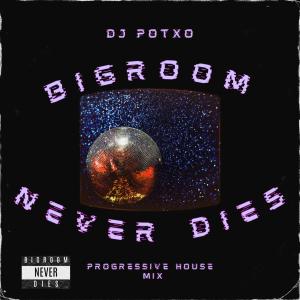 收聽DJ Potxo的Bigroom Never Dies (Progressive House Mix)歌詞歌曲