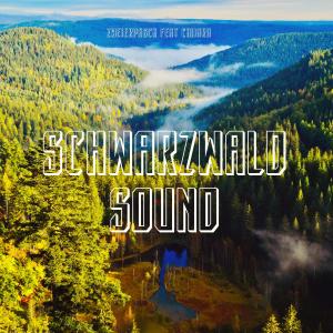 ดาวน์โหลดและฟังเพลง Schwarzwald Sound (feat. Chiiara) พร้อมเนื้อเพลงจาก Zweierpasch