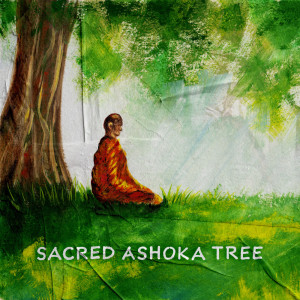 Sacred Ashoka Tree