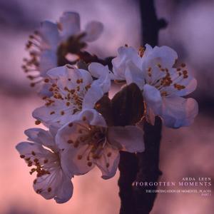 Listen to Raining Again song with lyrics from Arda Leen