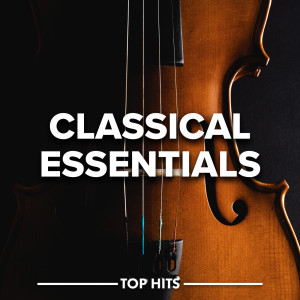 ดาวน์โหลดและฟังเพลง Ave Maria, D. 839 (Arr. Garrett / van der Heijden for Voice, Violin and Orchestra) พร้อมเนื้อเพลงจาก David Garrett