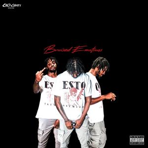 Robwavy的專輯Bruised Emotions (Explicit)