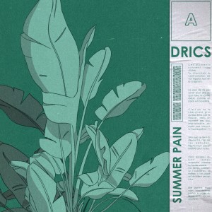 Listen to Summer Pain song with lyrics from Drics