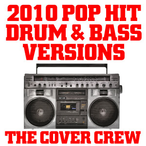 ดาวน์โหลดและฟังเพลง Hey Baby (Pitbull &amp; T-Pain Drum &amp; Bass Tribute Mix) พร้อมเนื้อเพลงจาก The Cover Crew