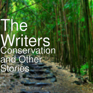 Dengarkan lagu I Want You to Know nyanyian The Writers dengan lirik