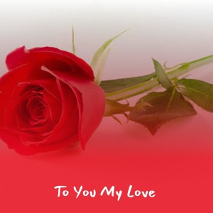 ดาวน์โหลดและฟังเพลง Everybody Loves to Cha Cha Cha พร้อมเนื้อเพลงจาก Sam Cooke