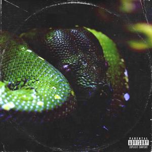 收聽PEDLER的POISON (Explicit)歌詞歌曲