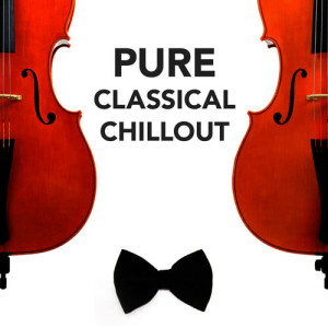 收聽Classical Chillout的Piano Sonata No. 13 in B-Flat Major, K. 333: II. Andante Cantabile歌詞歌曲