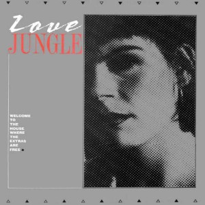 收聽Love Jungle的I Really Don't Care歌詞歌曲