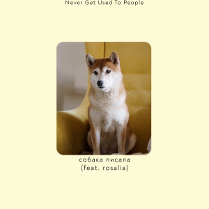 ดาวน์โหลดและฟังเพลง Собака писала (Explicit) พร้อมเนื้อเพลงจาก Never Get Used To People