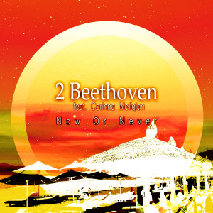 Listen to Now or Never (нет) song with lyrics from 2 Beethoven