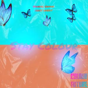 Listen to Stay Colour song with lyrics from Wonder Gemini