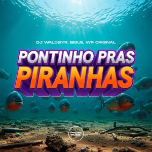 收聽DJ Waldeiyr的Pontinho Pras Piranhas (Explicit)歌詞歌曲