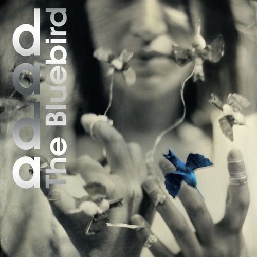 The Bluebird