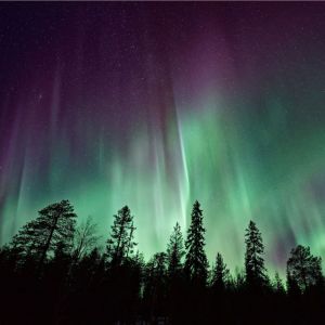 收聽Nature Sounds Nature Music的Driftwood歌詞歌曲