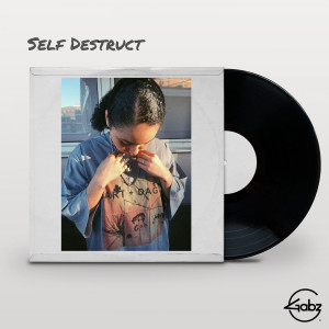 Album Self Destruct from Gabz