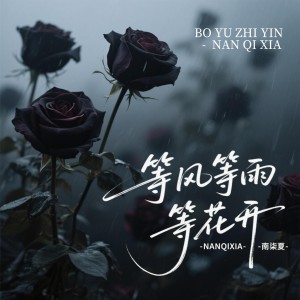 Listen to 等风等雨等花开 (完整版) song with lyrics from 南柒夏