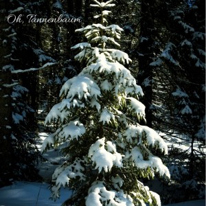Listen to Carol of the bells song with lyrics from Sasha Cohn