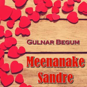 Listen to Torah Tayara da Torah song with lyrics from Gulnar Begum