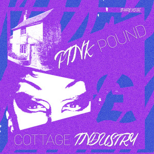 Listen to Nice Try song with lyrics from Pink Pound
