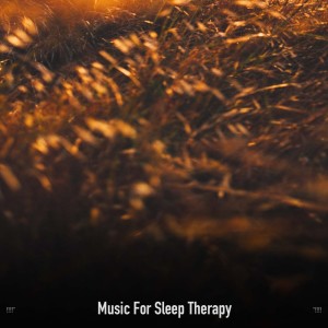 !!!!" Music For Sleep Therapy "!!!! dari Between Waves