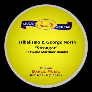 收聽Tribalismo (MO)的Stronger (Dub Mix)歌詞歌曲