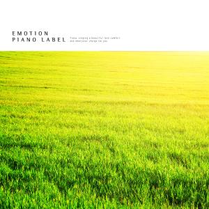 Album New Age piano in a cozy atmosphere for a good night's sleep from Various Artists
