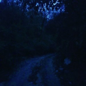 Listen to forget me song with lyrics from YOUNG MAFIN