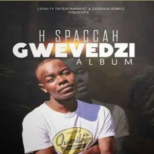 H Spaccah的專輯Gwevedzi (Explicit)